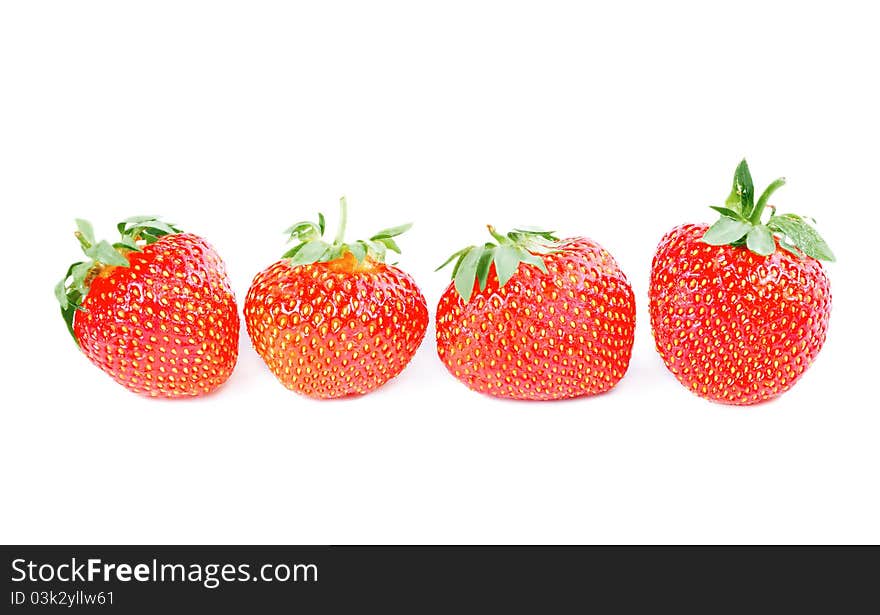 Row Of Four Strawberries Isolated