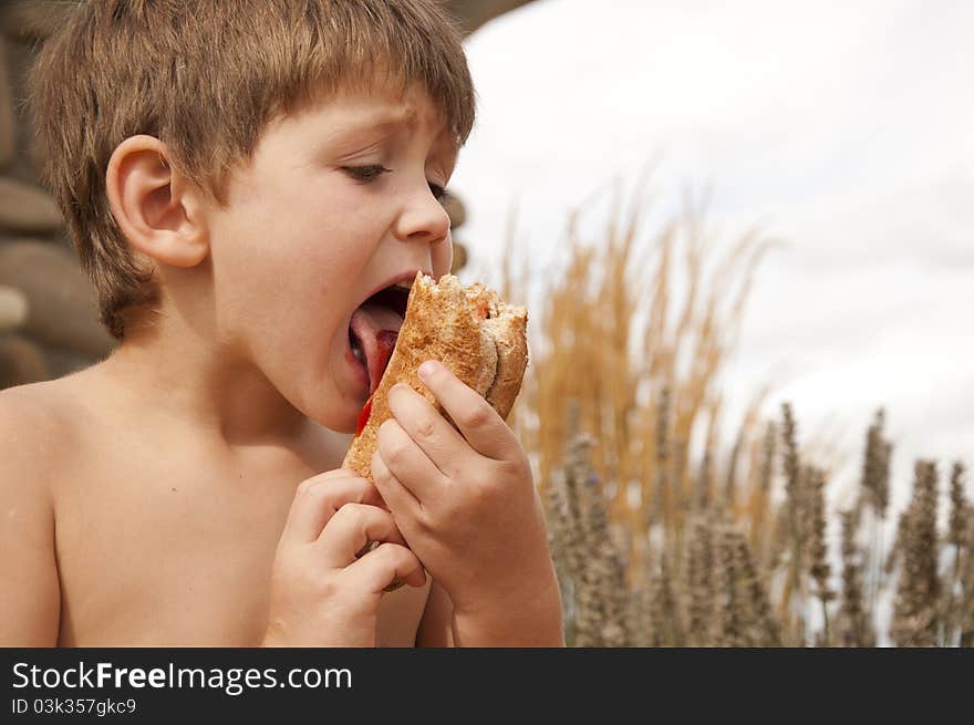 Boy holding a hot dog and licking catchup off the bread. Boy holding a hot dog and licking catchup off the bread