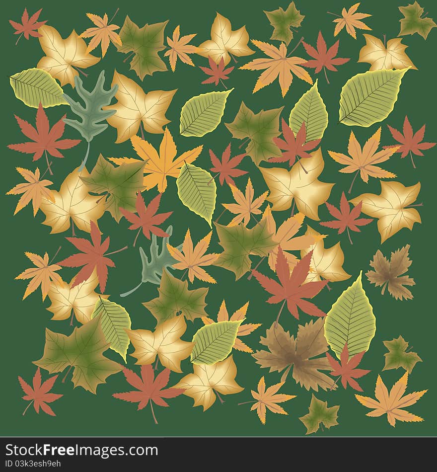 Image of leaves