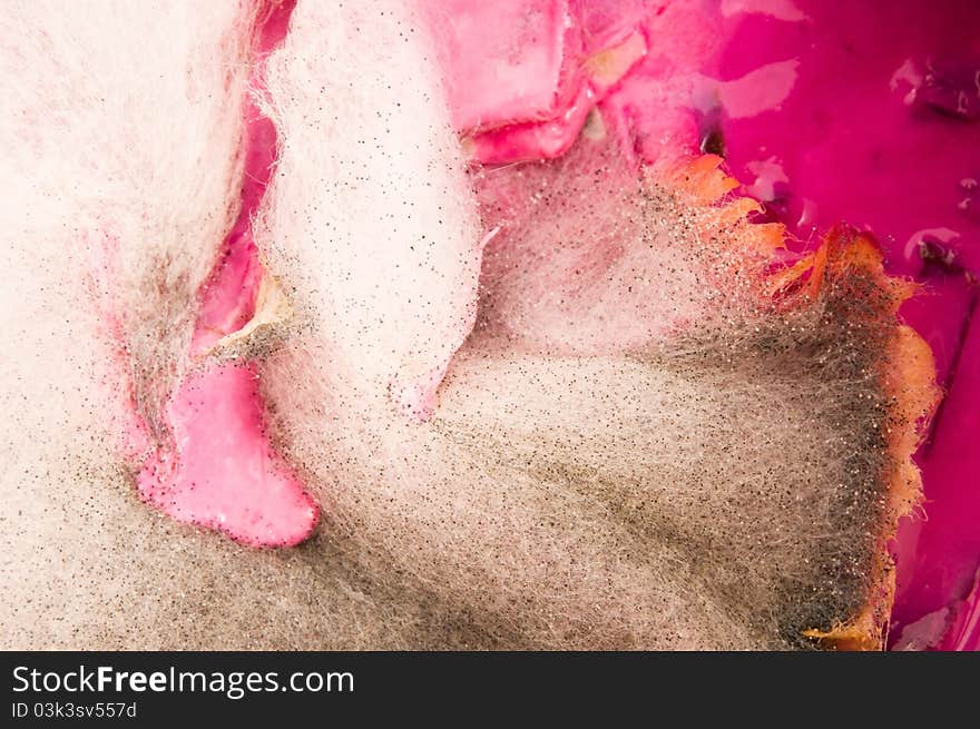 Soup damaged by mold, extreme closeup of texture