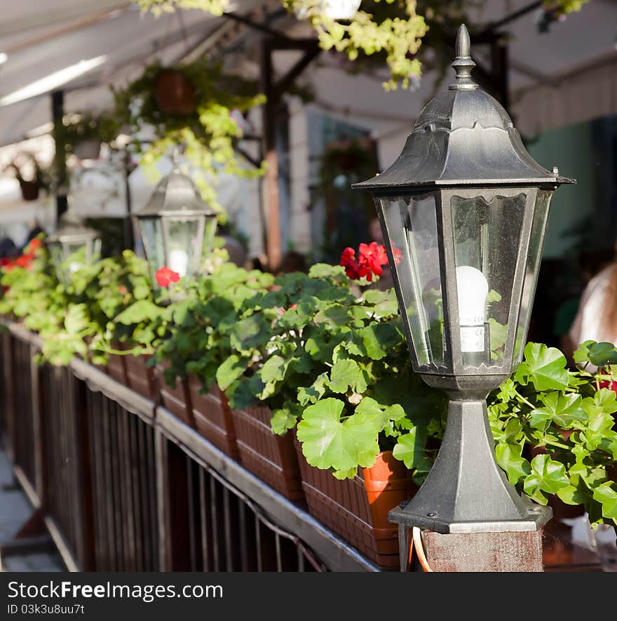 Lantern And Plants