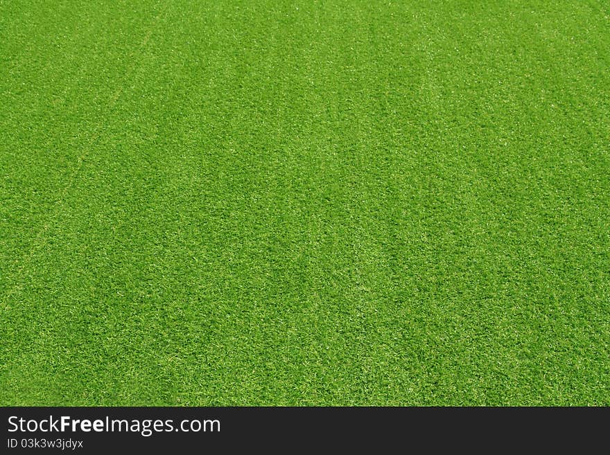 Green grass details background texture. Green grass details background texture