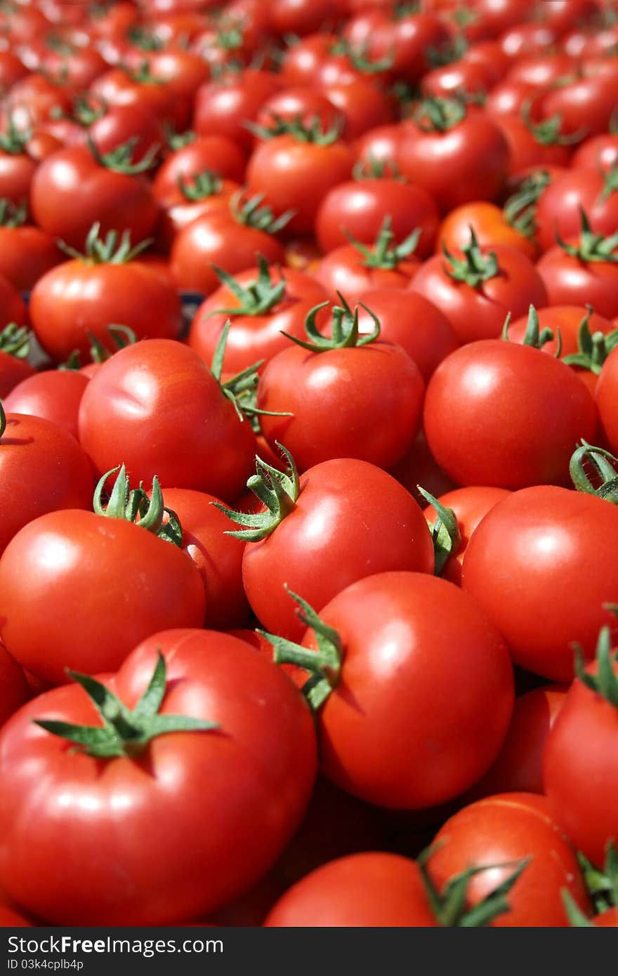 Red ripe tomatoes