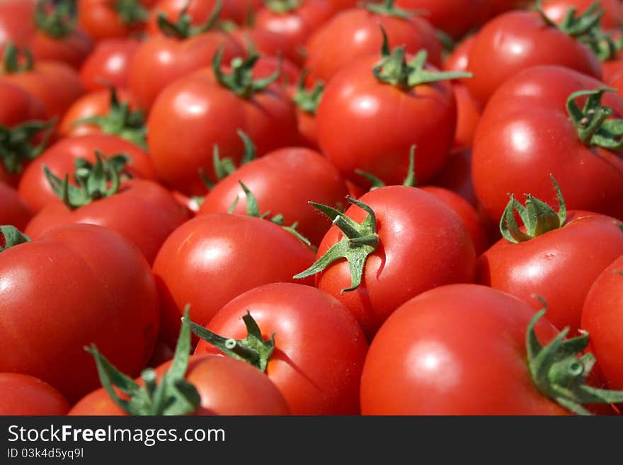 Red ripe tomatoes