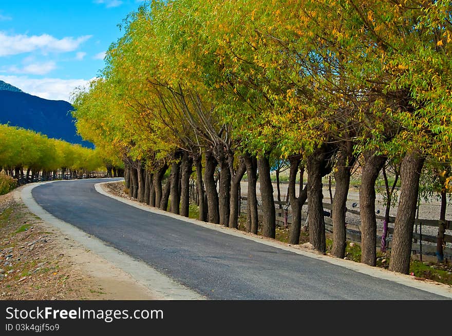 The valley of the country road