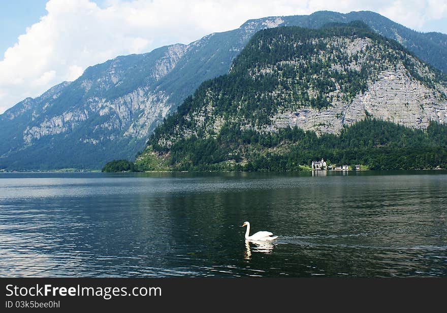 Lake In The Alpes - Austria