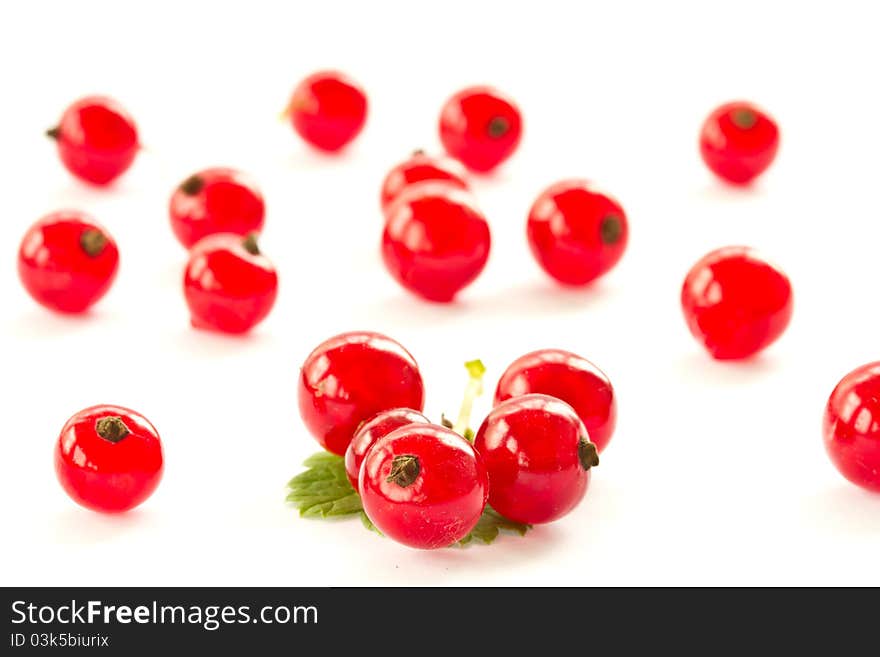 Redcurrant