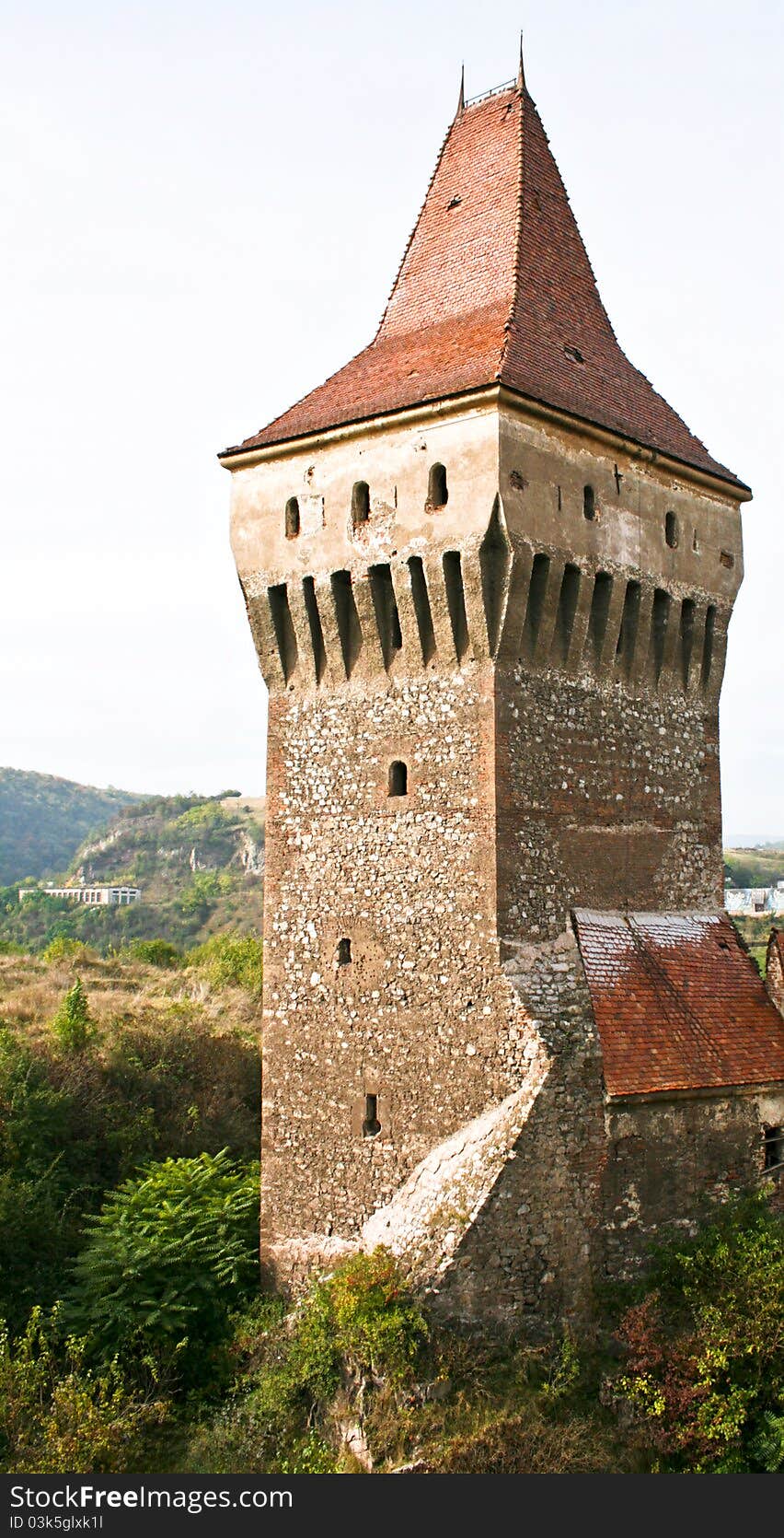 Tower from the medieval castle of Hunedoara