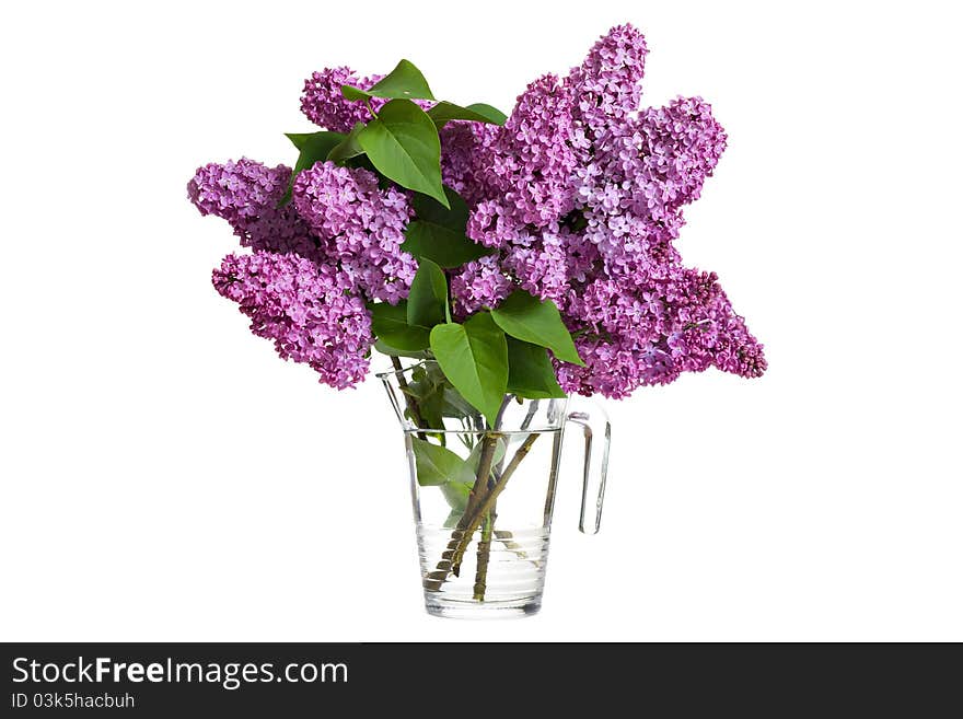 Bouquet of spring purple lilac in a jug isolated on a white background