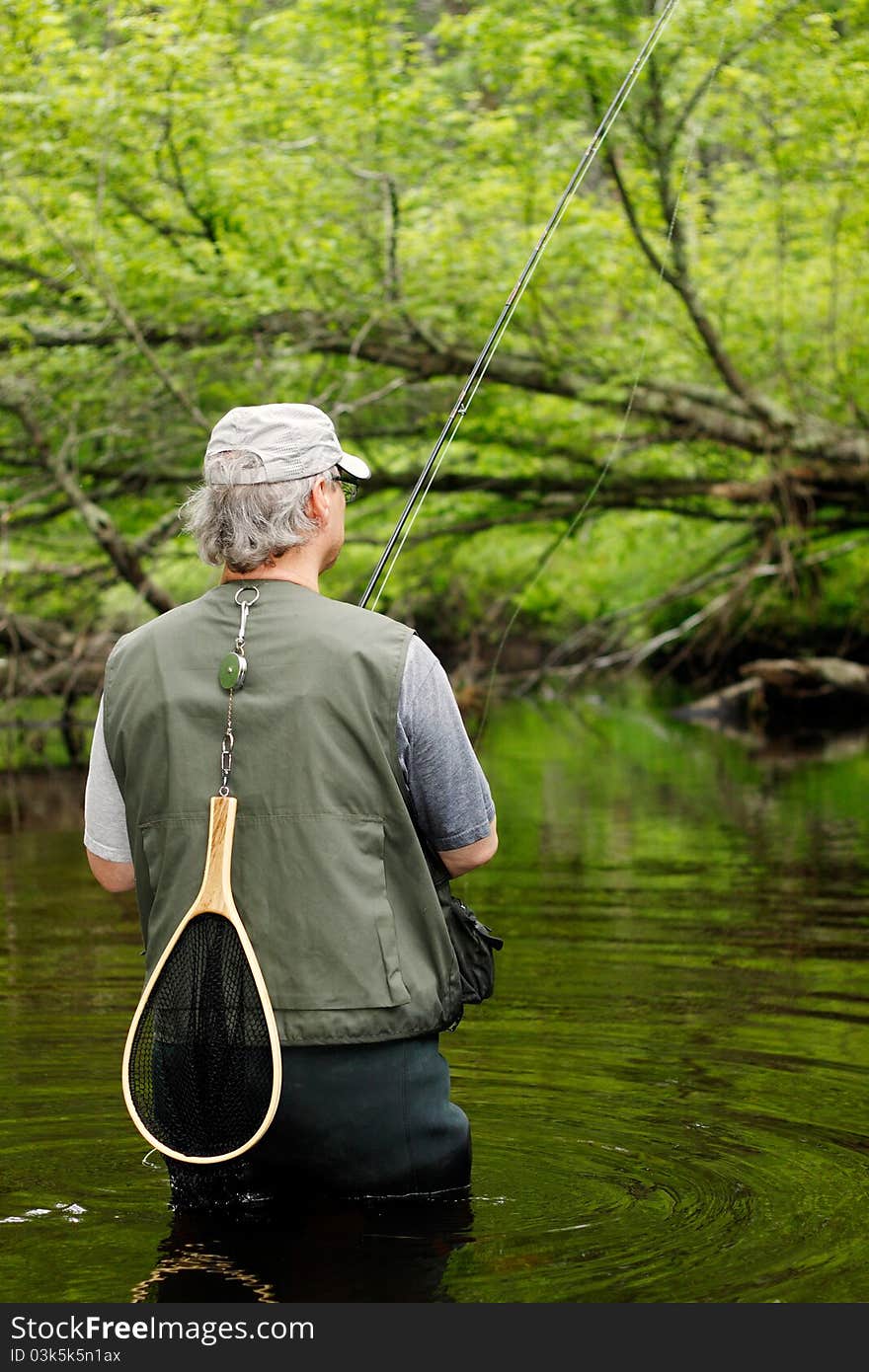 The back of a fly fisherman reeling in his catch. The back of a fly fisherman reeling in his catch