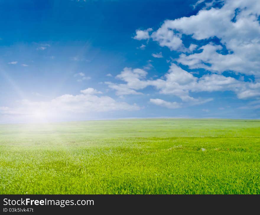 Green grass and blue sky with clouds