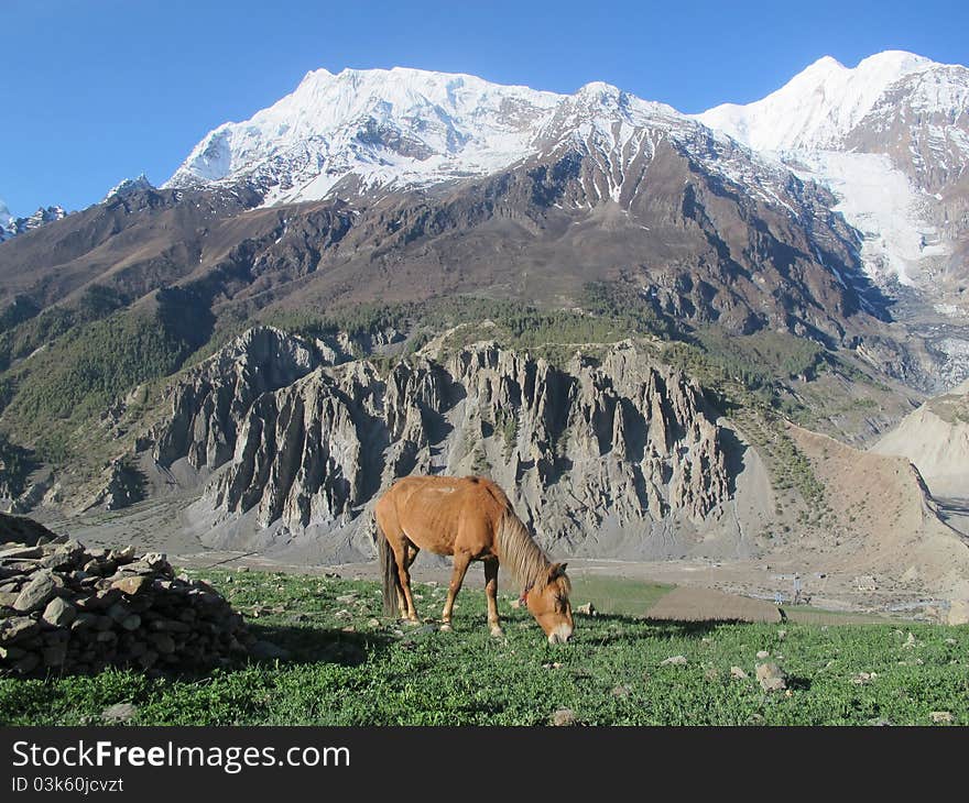 Landscape in Monang. Nepal. Annapurna area