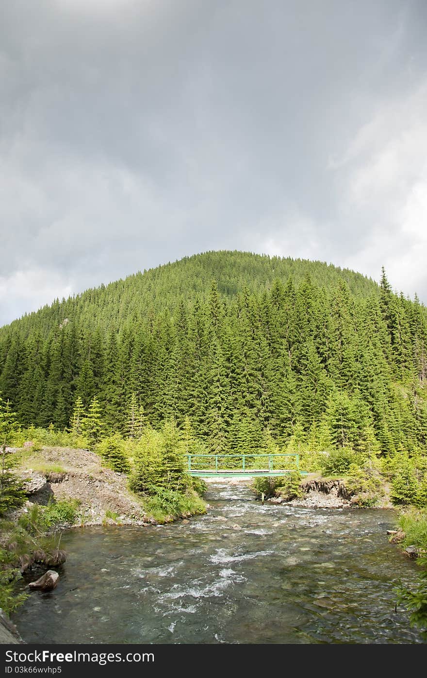 Clear mountain brook and bridge crossing in Romania