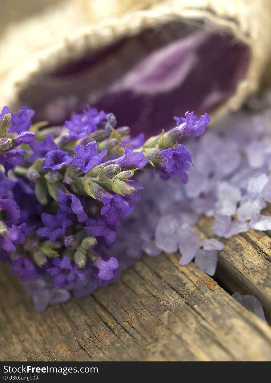 Lavander arrangement