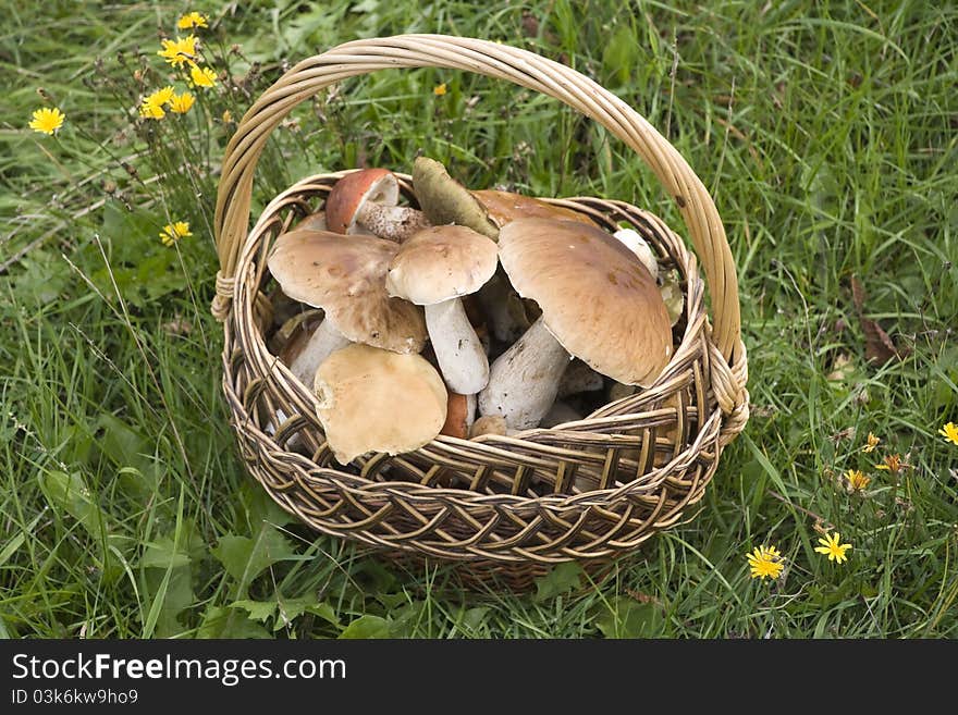 Basket With CEPS