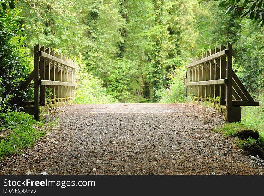 Wooden bridge in forest in Ireland