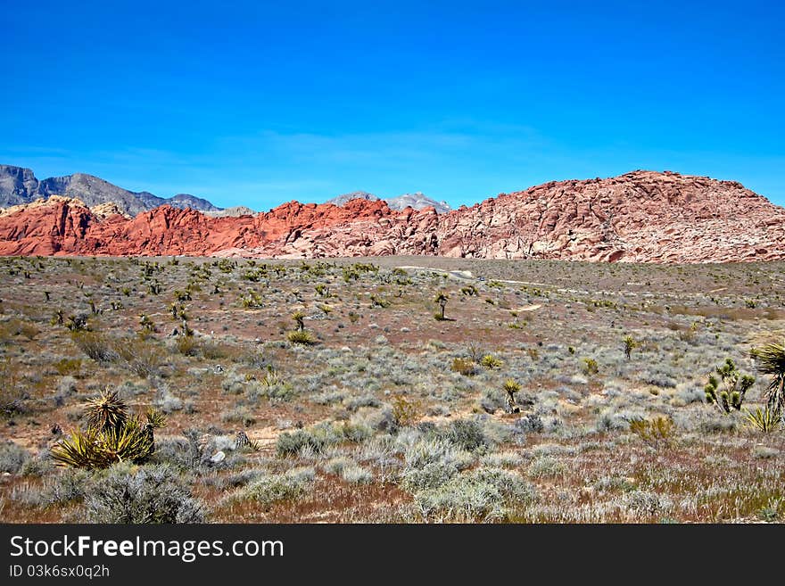 View of Mojave Desert.