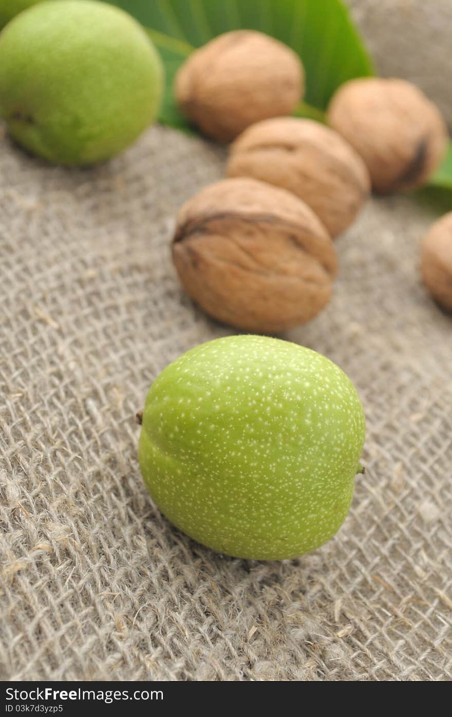 Walnuts with leaves on a background of rough cloth