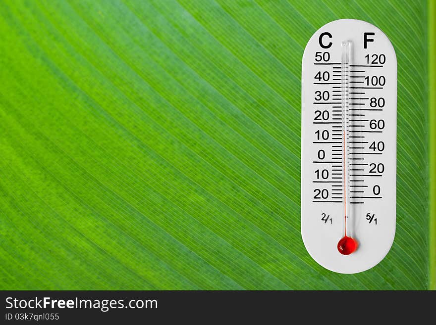 Thermometer on green leaf background