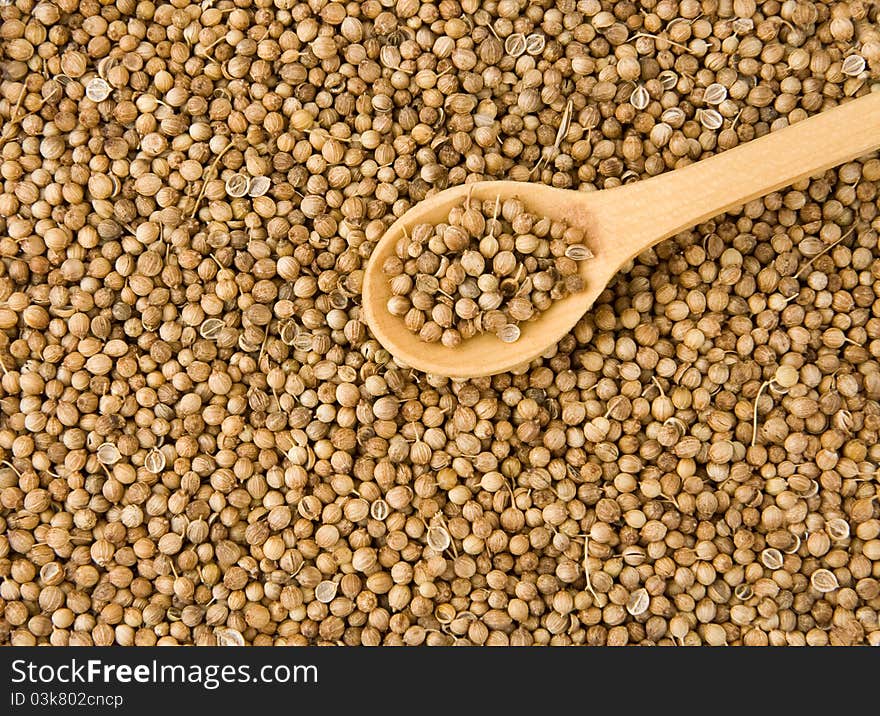 Spice cloves and wooden spoon with cloves