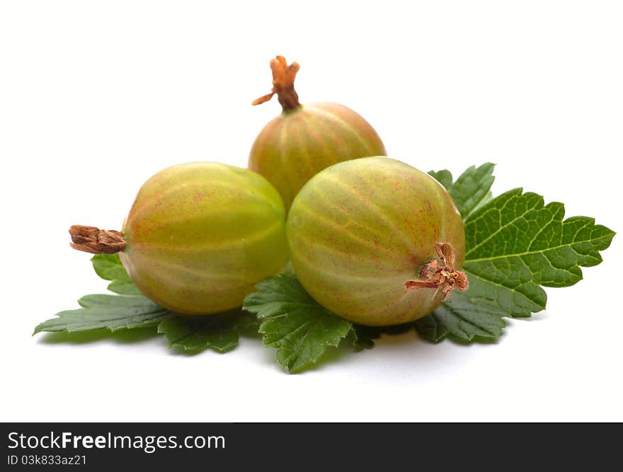 Green gooseberries