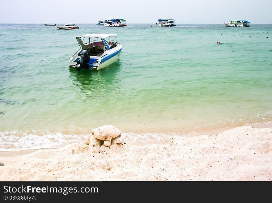 Speed ​​Boat Tour at the Island.