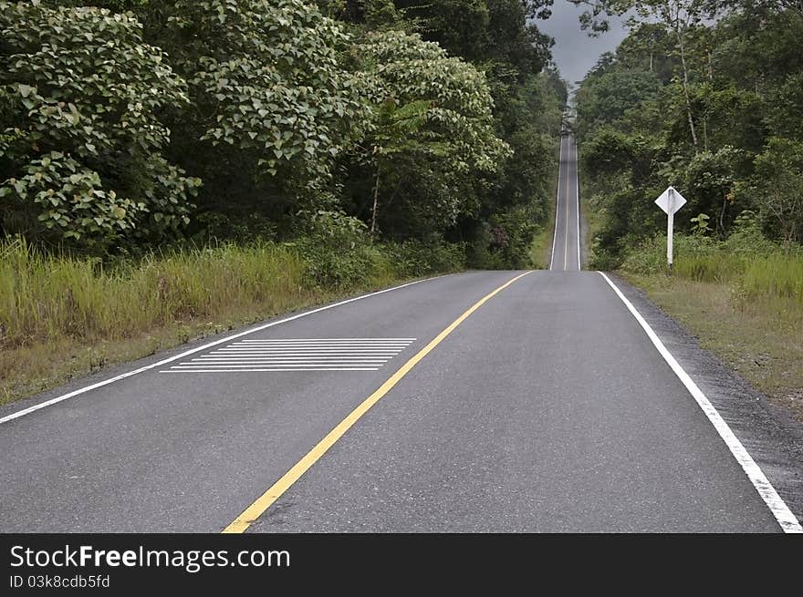 Asphalt road in forest