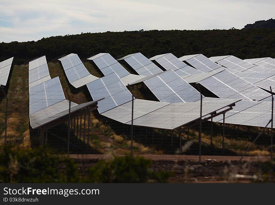 Solar Panels To Harness Renewable Energy