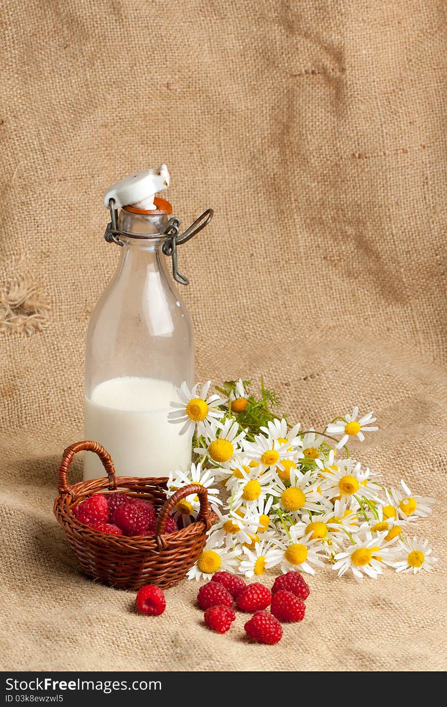 Composition with fresh ripe raspberries, bottle of milk and camomile flowers on sacking. Composition with fresh ripe raspberries, bottle of milk and camomile flowers on sacking