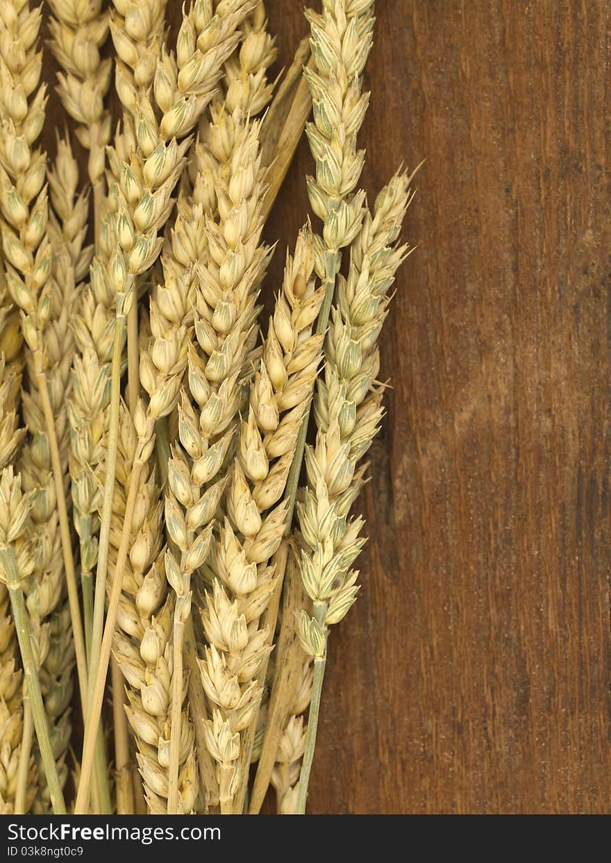 Yellow wheat on the wooden background