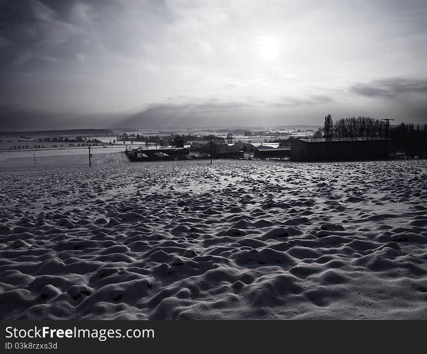 Black and white winter landscape