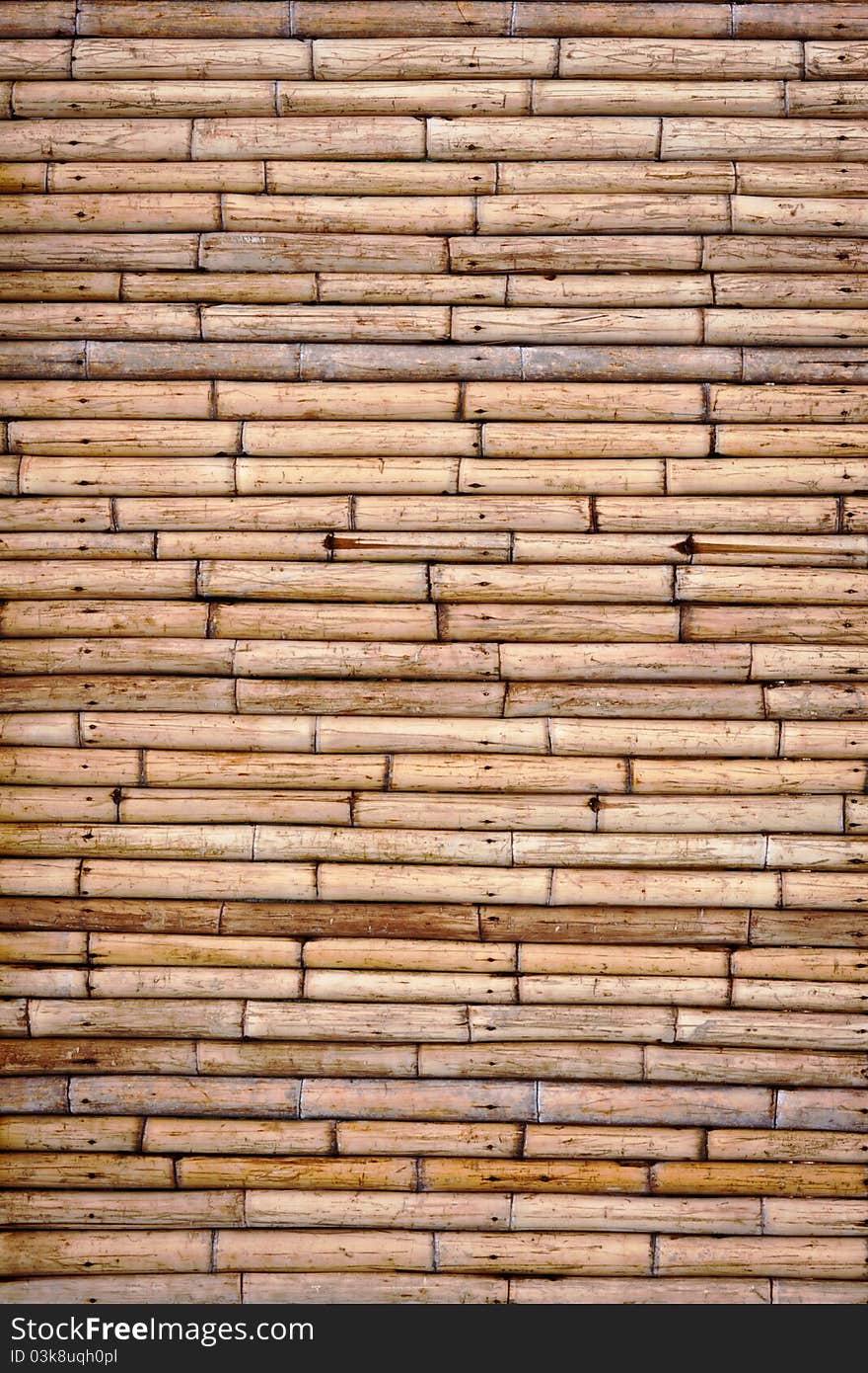 Tropical bamboo wall