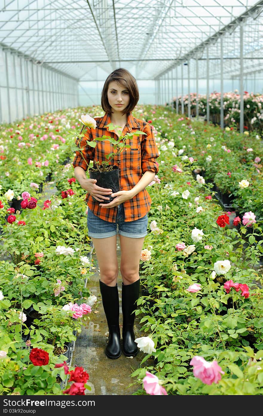 An image of a woman with a flower in her hands. An image of a woman with a flower in her hands