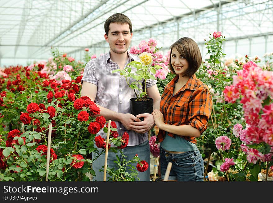 An image of a young couple in a greenhouse. An image of a young couple in a greenhouse