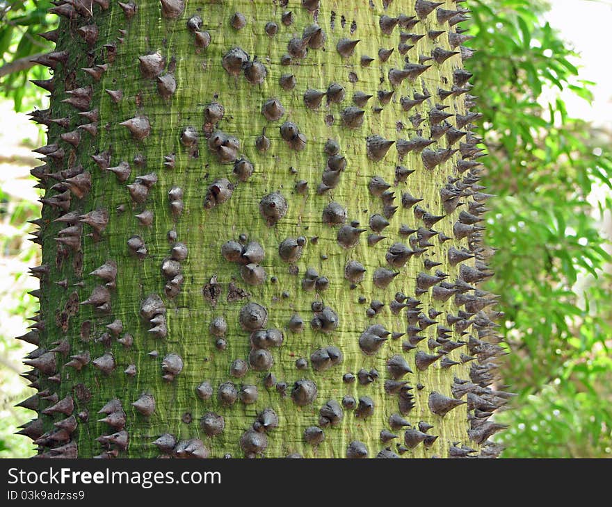 Spike Tree