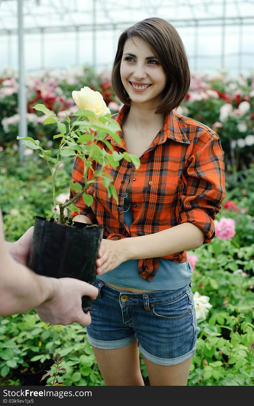 An image of a woman with a flower in her hands. An image of a woman with a flower in her hands