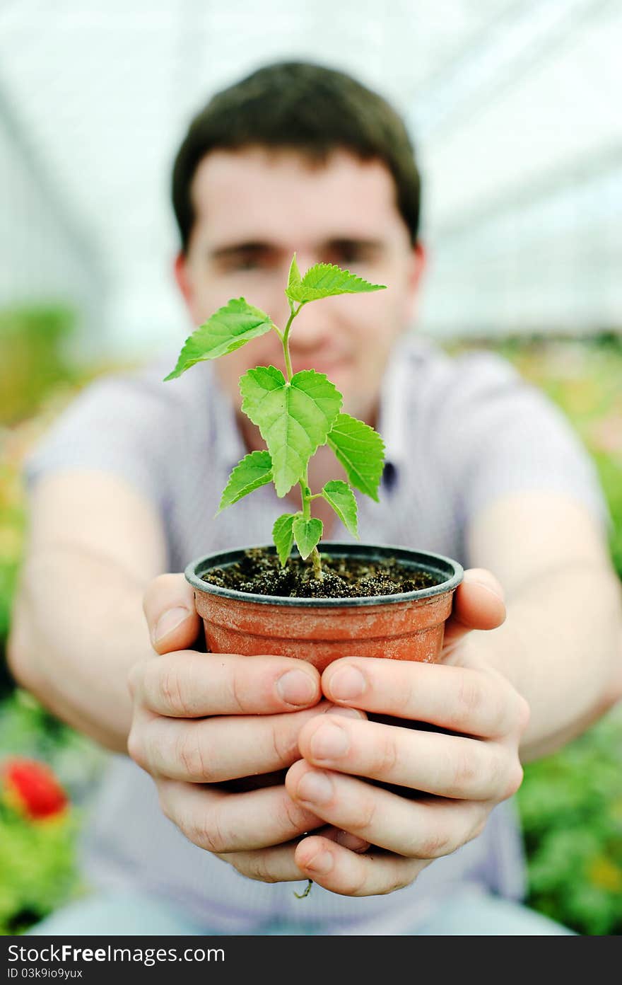 An image of a man with a plant in a pot