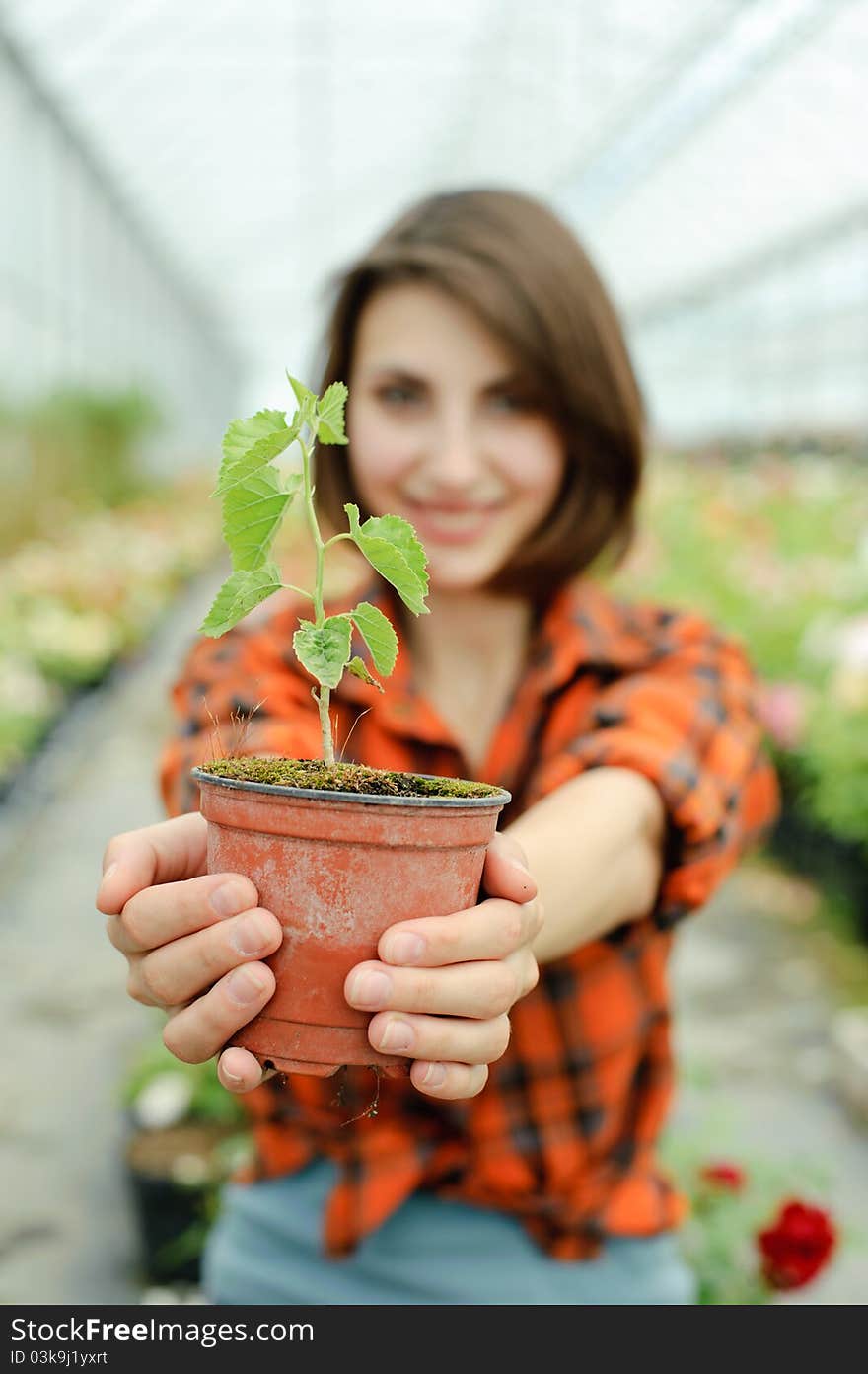 Girl with a plant