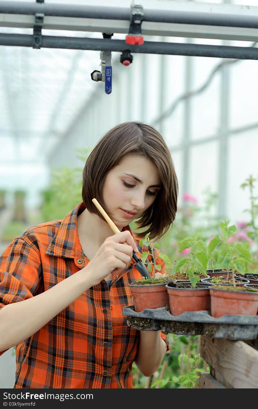 Girl in a greenhouse