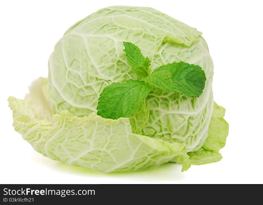 Cabbage