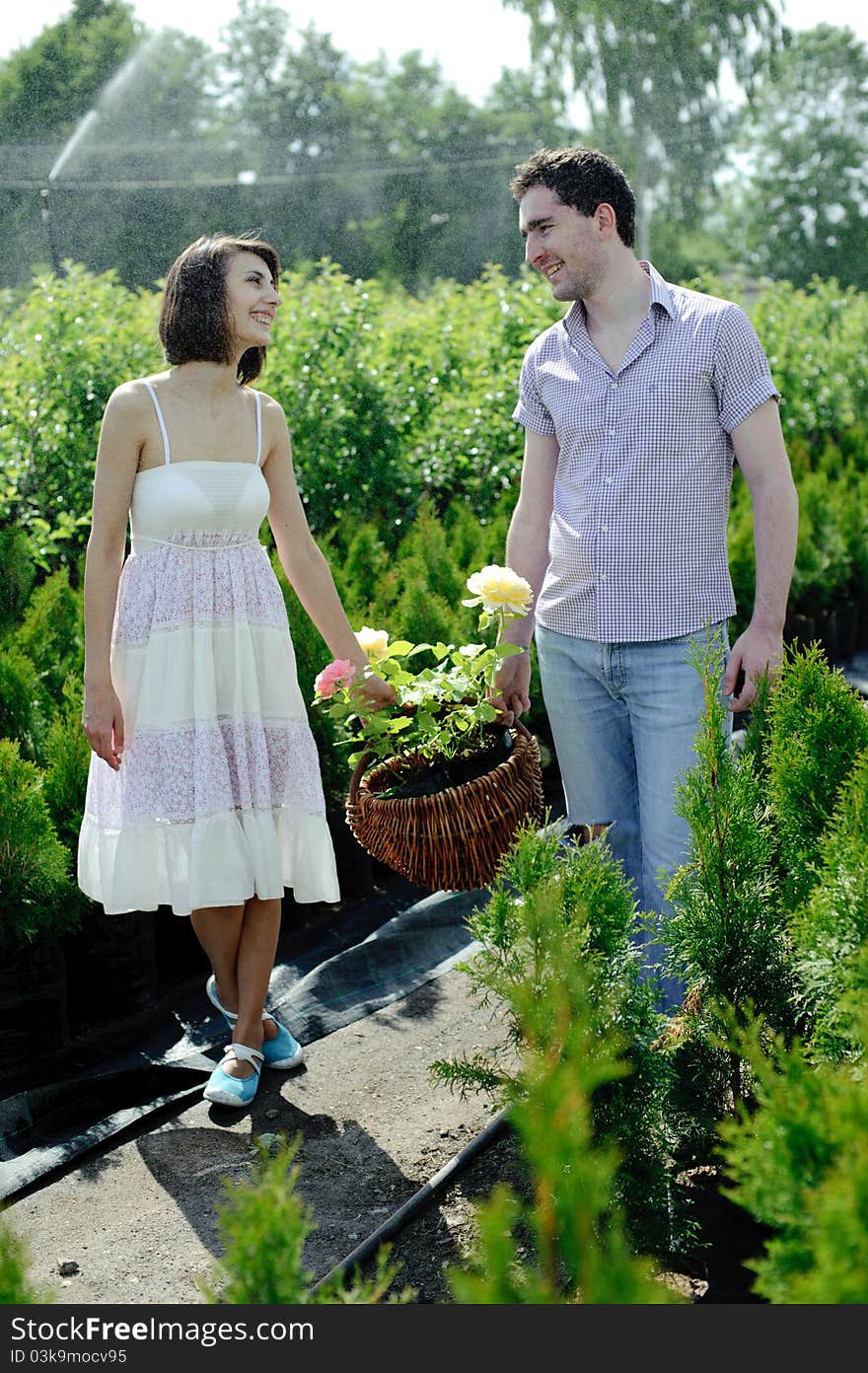 An image of a young couple with a basket with roses. An image of a young couple with a basket with roses