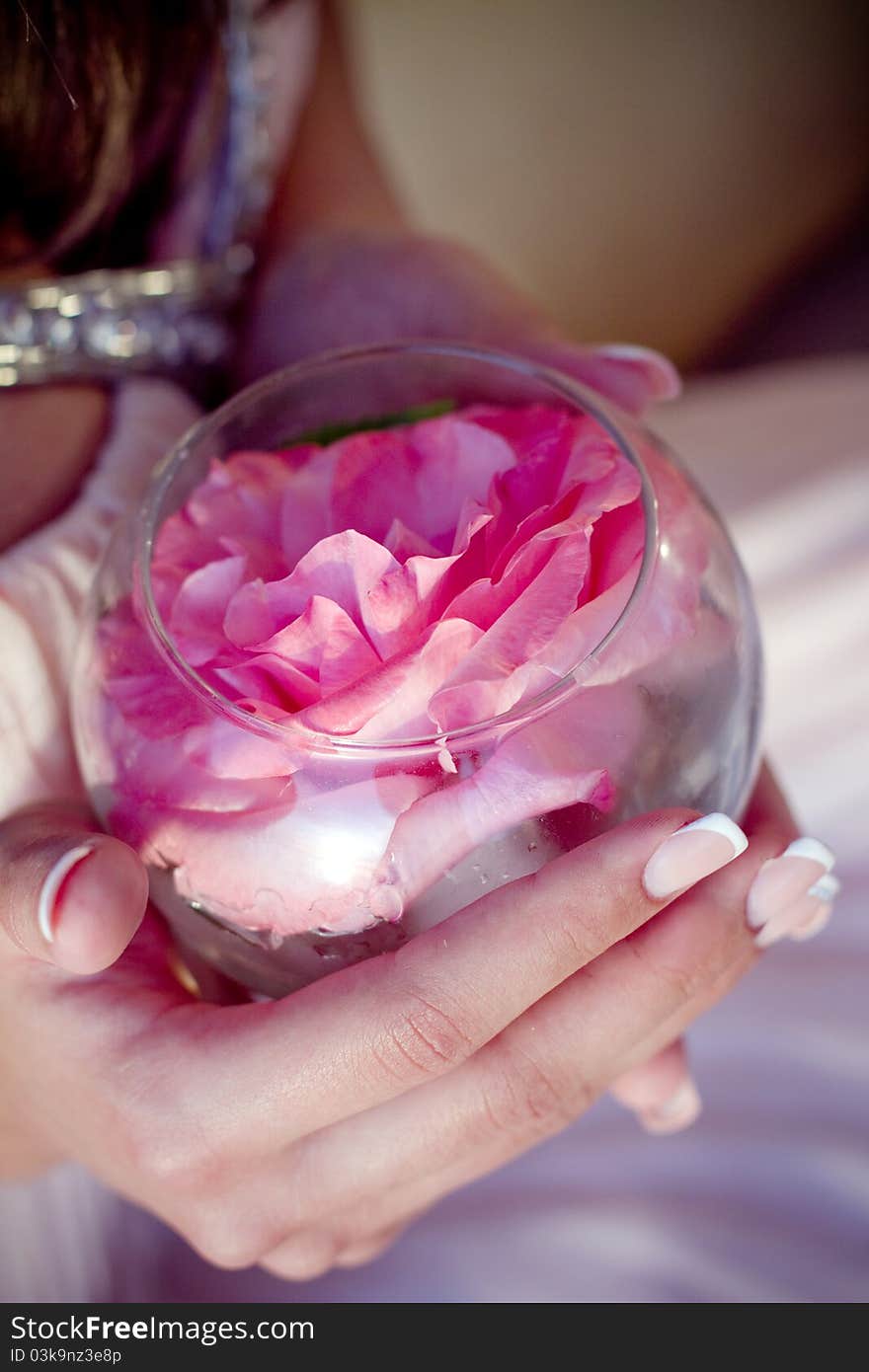 Beautiful rosebud in hands with vase