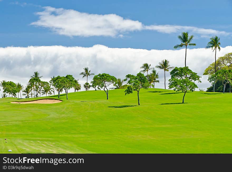 Golf place with gorgeous green and pond. Golf place with gorgeous green and pond.