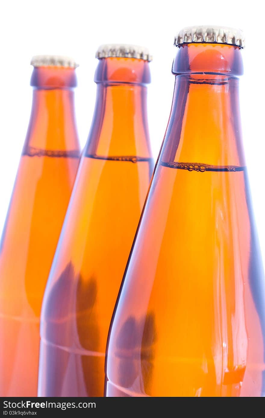 Beer bottles on the white background