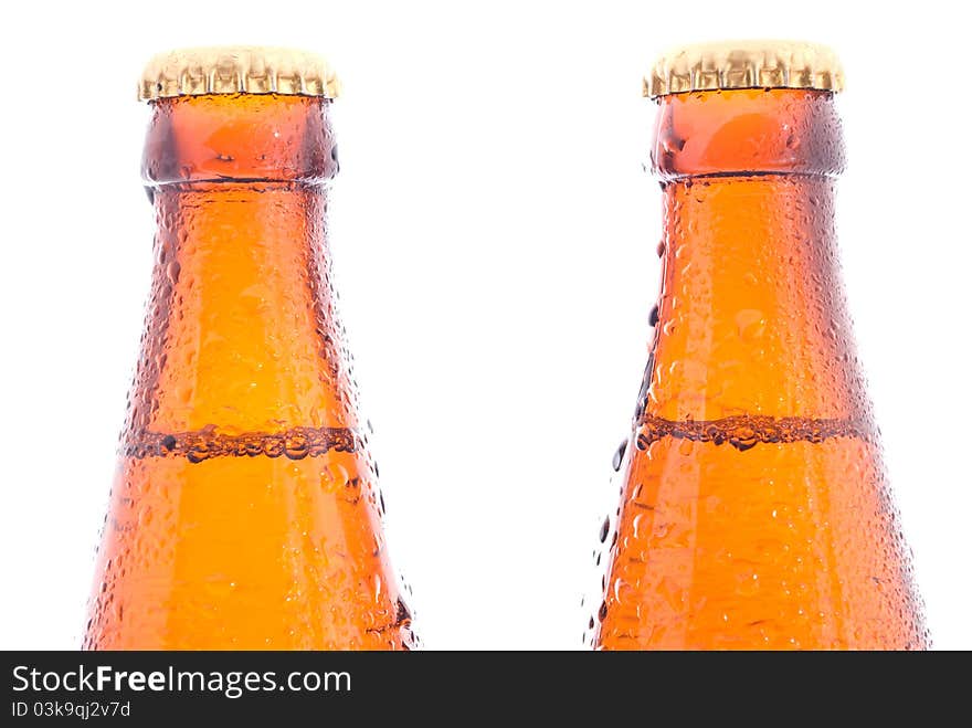 Beer bottles on the white background