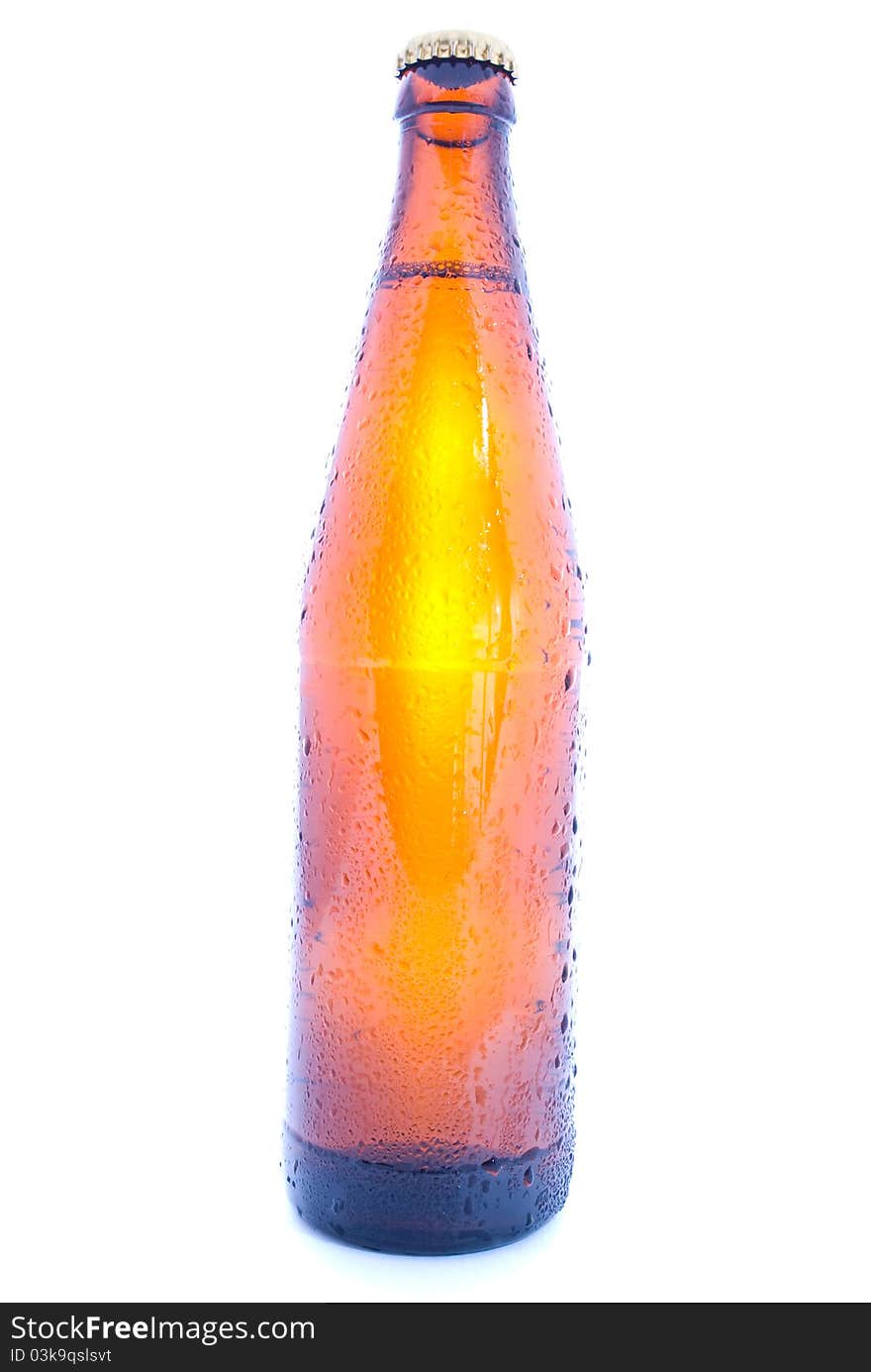 Beer bottle on the white background