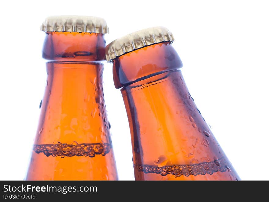 Beer bottles on the white background