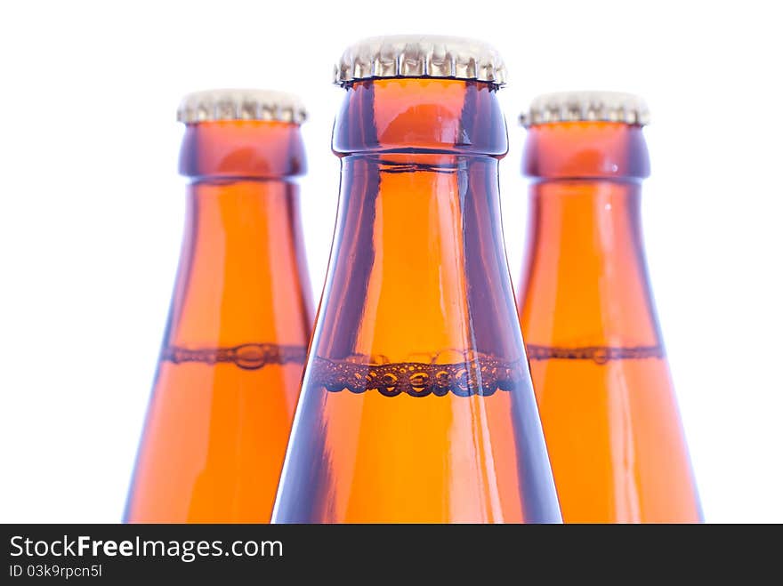 Beer bottles on the white background