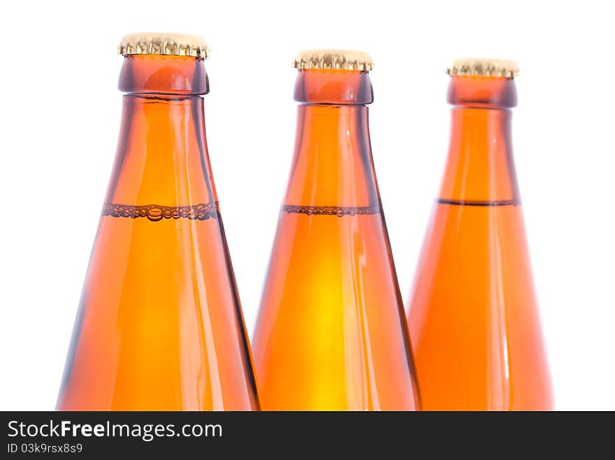 Beer bottles on the white background