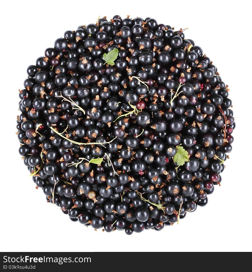 Blackcurrant bunch